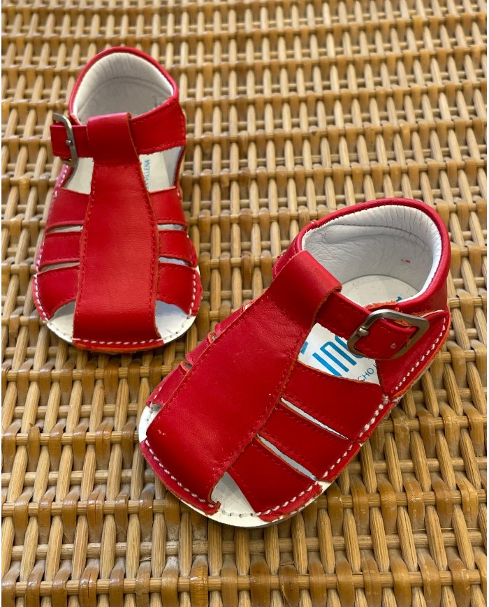 Minorchine Rosse